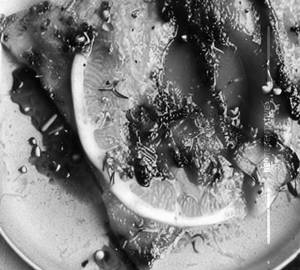 Lemon Fish Dry