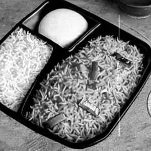 Paneer Rice