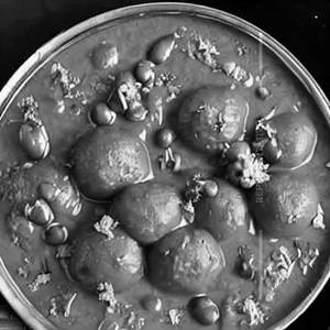 Veg Ball 
