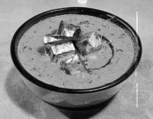 Malai Paneer Korma