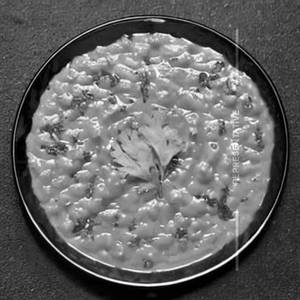 Butter Dal Fry