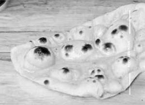 Butter Roti