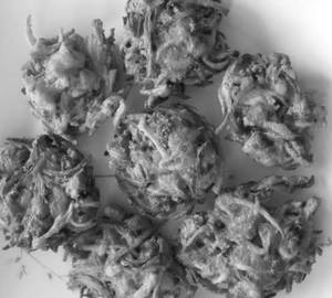 Onion Pakora 
