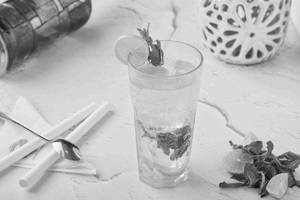 Mojito (400ml)