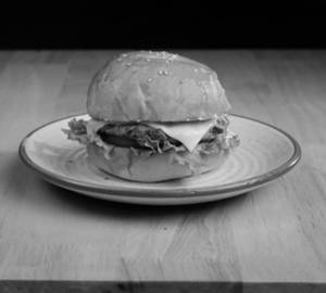 Homer Defender Burger