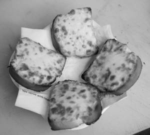 Cheese Garlic Bread                                                       