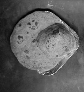 Chapati (1 Pc)