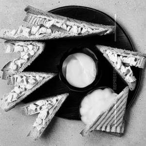 Plain cheese sandwich 