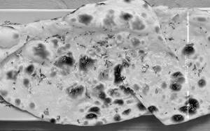 Cheese Naan
