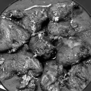 Chicken Fry (Black Masala)