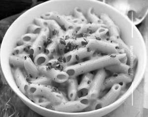 Cheese Macaroni Pasta