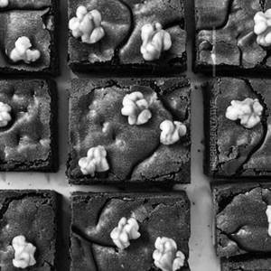 Brownie Walnut 