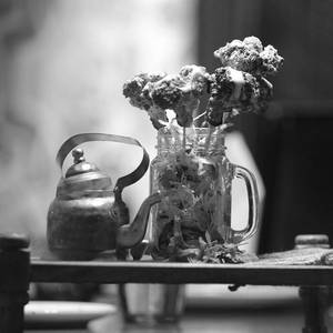 Sarson Broccoli