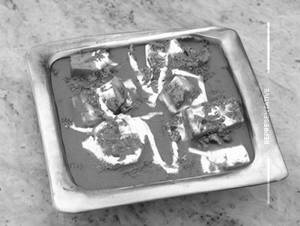 Paneer Butter Masala
