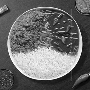 Mayur Special Rice Plate