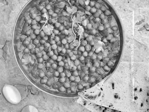 Chana Masala