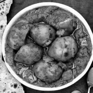 Dum Aloo Punjabi