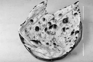 Butter Naan