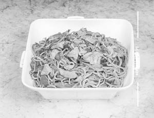 Chicken noodles