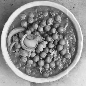 Chana Masala