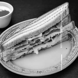 Cheese Sandwich