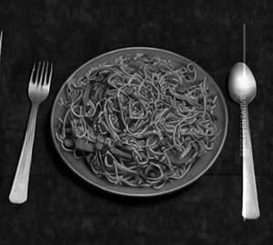 Veg Hakka Noodles