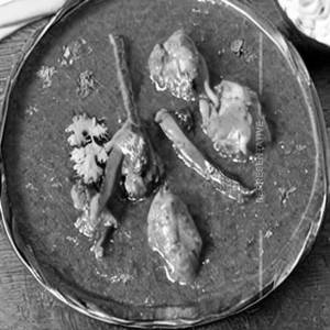 Chicken Dahiwala