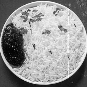 Plain Rice