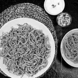 Taj Mixed Fried Noodles