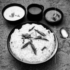 Curd Rice