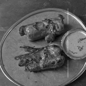 Butter Mysore Mas Roast