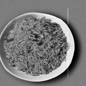 Regular Veg Rice