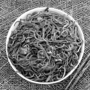 Chicken Hakka Noodles