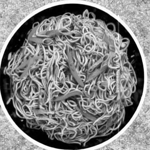 Mix hakka noodles