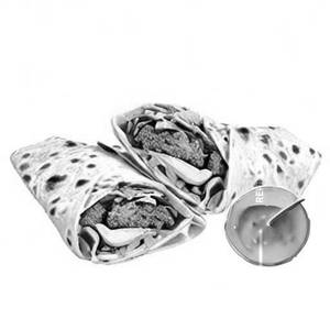 Crunchy Chicken Wrap