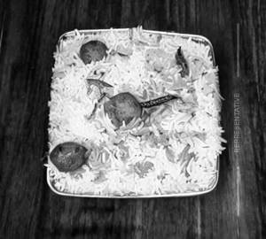 Aloo Biryani