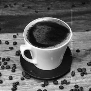Mocha