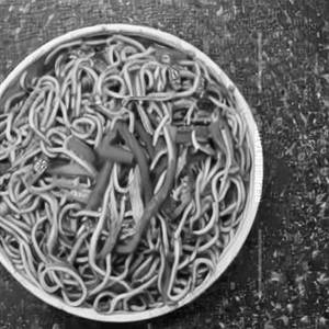 Veg Chilli Garlic Noodles