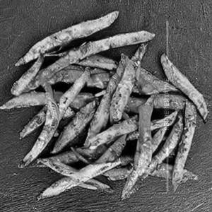 Mirchi Fry
