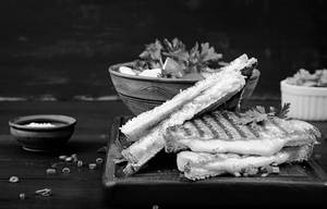 Cheese Grilled Sandwich
