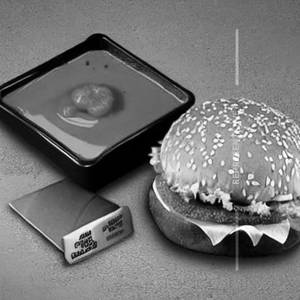 Chicken Zinger Burger