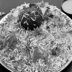 Raju Gari Potlam Biryani