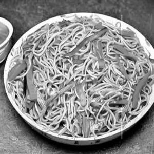 Veg Hakka Noodles