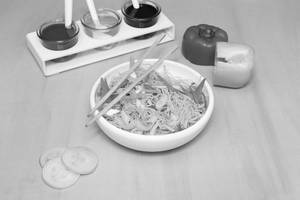 Veg Noodle
