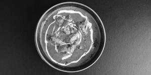 Prawn Curry