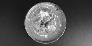 Murgh Makhani