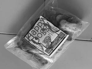 Dog Biscuit 200gms