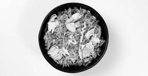 Egg Fried Rice