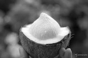 Tender coconut flower juice (750ml