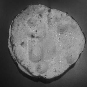 Makki Ki Roti